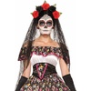 image:imageForum Day of The Dead VeilBlack