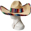 image:imageRubies Costume Co Sombrero with Rainbow Serape Edge And Band CostumeBrown