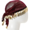 image:imageRubies Mystic Fortune Scarf Costume Accessory for Adults Womens One Size