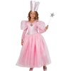 image:imageRubies The Wizard of Oz Glinda Crown for Kids Girls No Size