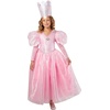 image:imageRubies The Wizard of Oz Glinda Crown for Kids Girls No Size