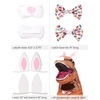 image:imageRubies Themed Inflatable TRex Dress Up Accessory KitPink