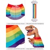 image:imageRubies Themed Inflatable TRex Dress Up Accessory KitRainbow