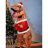 image:imageRubies Themed Inflatable TRex Dress Up Accessory KitRed