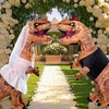 image:imageRubies Themed Inflatable TRex Dress Up Accessory KitWhite