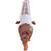 image:imageRubies Themed Inflatable TRex Dress Up Accessory KitWhite