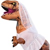 image:imageRubies Themed Inflatable TRex Dress Up Accessory KitWhite
