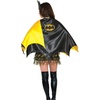 image:imageRubies DC Comics Superheroes Batgirl Lined Cape for Adults Womens No SizeBatgirl