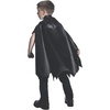 image:imageRubies DC Comics Superheroes Batman Satin Cape for Kids Boys No Size