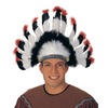 image:imageRubies Feather Headdress Costume Accessory for Adults Unisex No Size
