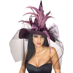 image:imageRubies Costume Co Womens Witch Hat with Feathers and Veil CostumePurple