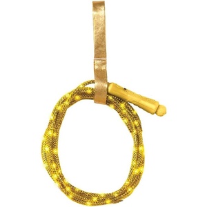 image:imageRubies DC Wonder Woman 1984 Wonder Woman Lasso for Kids GirlsDc Comics Ww84 Wonder Woman Light Up Lasso