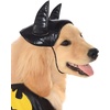 image:imageDC Comics Superheroes Batgirl Pet Costume for Dogs or Cats by Rubies XLMedium Pack of 1