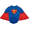 image:imageDC Comics Superheroes Superman Pet Costume for For Dogs or Cats by Rubies MediumSmall
