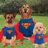 image:imageDC Comics Superheroes Superman Pet Costume for For Dogs or Cats by Rubies MediumSmall