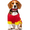 image:imageDC Comics Superheroes The Flash Pet Costume for For Dogs or Cats by Rubies LargeXL