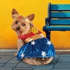 image:imageDC Comics Wonder Woman Pet Costume for For Dogs or Cats by Rubies XXLLarge