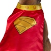 image:imageDC Superman Movie 2025 Krypto Pet Cape amp Collar by Rubies for Dogs or Cats MediumLarge