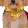 image:imageDC Superman Movie 2025 Krypto Pet Cape amp Collar by Rubies for Dogs or Cats MediumSmall