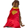 image:imageDC Superman Movie 2025 Krypto Pet Cape amp Collar by Rubies for Dogs or Cats MediumSmall