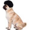 image:imageRubies Afro Pet Wig for Dogs or Cats SMSM