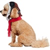 image:imageRubies Aviator Pet Hat amp Scarf Set for Dogs or Cats MLSmallMedium