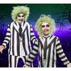 image:imageRubies Beetlejuice 2 Beetlejuice Wig for Kids Boys No Size