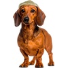 image:imageRubies Blonde Pony Tail Pet Costume for Dogs or Cats SMMediumLarge
