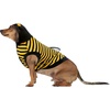 image:imageRubies Bumble Bee Pet Costume for Dogs or Cats MediumMedium