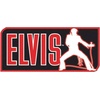 image:imageRubies Costume Co Elvis Now WigBlack