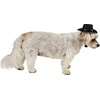 image:imageRubies Cowboy Pet Hat for Dogs or Cats SMSmallMedium