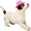 image:imageRubies Cowgirl Pet Hat with Faux Tiara for Dogs or Cats SMMediumLarge Pack of 1