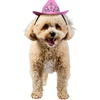 image:imageRubies Cowgirl Pet Hat with Faux Tiara for Dogs or Cats SMMediumLarge Pack of 1