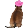 image:imageRubies Cowgirl Pet Hat with Faux Tiara for Dogs or Cats SMMediumLarge Pack of 1