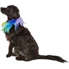 image:imageRubies Decorative Rainbow Pet Collar for Dogs or Cats SMLargeXLarge
