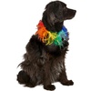 image:imageRubies Decorative Rainbow Pet Collar for Dogs or Cats SMLargeXLarge