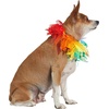 image:imageRubies Decorative Rainbow Pet Collar for Dogs or Cats SMLargeXLarge