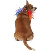 image:imageRubies Decorative Rainbow Pet Collar for Dogs or Cats SMSmallMedium