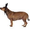 image:imageRubies Disney Mickey Mouse Pet Costume for For Dogs or Cats MLMickey Mouse