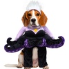 image:imageRubies Disney Villains Maleficent Pet Costume for For Dogs or Cats LargeMedium