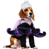 image:imageRubies Disney Villains Maleficent Pet Costume for For Dogs or Cats LargeXL