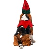 image:imageRubies Elf Pet Hat with Faux Tiara for Dogs or Cats MLSM