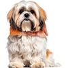 image:imageRubies Goldfish Pet Costume for Dogs or Cats MediumSmall