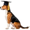 image:imageRubies Graduate Pet Hat for Dogs or Cats SMBlack
