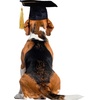 image:imageRubies Graduate Pet Hat for Dogs or Cats SMBlack