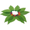 image:imageRubies Hula Girl Pet Costume MediumLarge Pack of 1