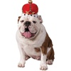image:imageRubies King Pet Crown for Dogs or Cats MLSmallMedium