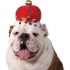 image:imageRubies King Pet Crown for Dogs or Cats MLSmallMedium