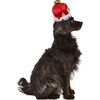 image:imageRubies King Pet Crown for Dogs or Cats MLSmallMedium