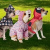 image:imageRubies Ladybug Pet Costume for Dogs or Cats SmallMedium